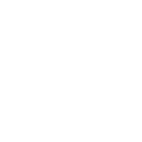 The New York Society Library