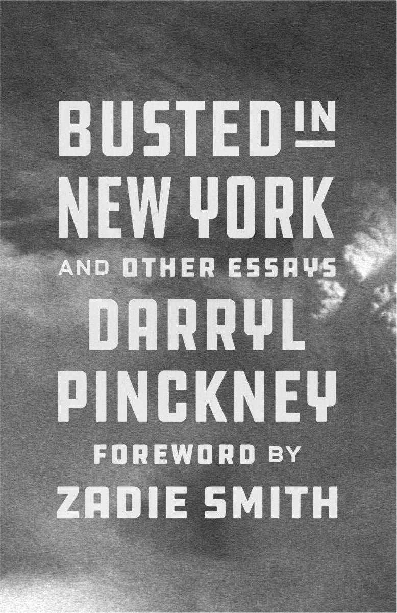 Busted in New York Book Cover