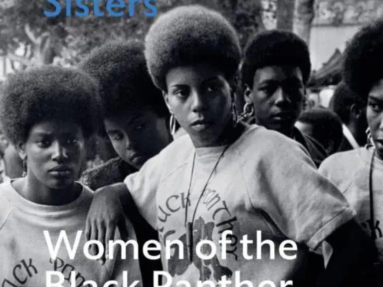 Comrade Sisters Book Cover