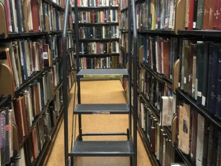 Step Ladder in Book Stack