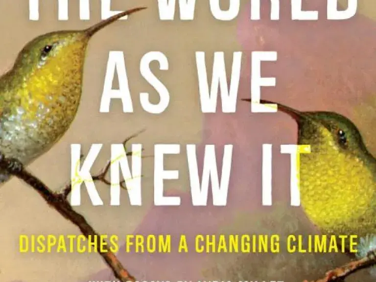 The World As We Knew It Book Cover