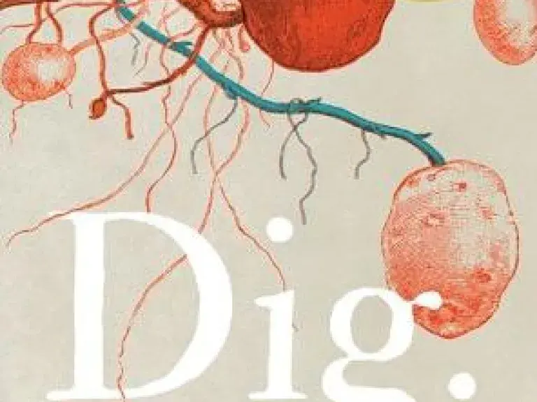 Dig Book Cover