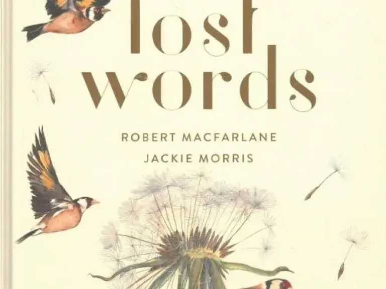 The Lost Words Book Cover